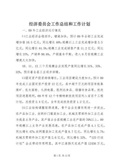 经济委员会工作总结和工作计划.docx