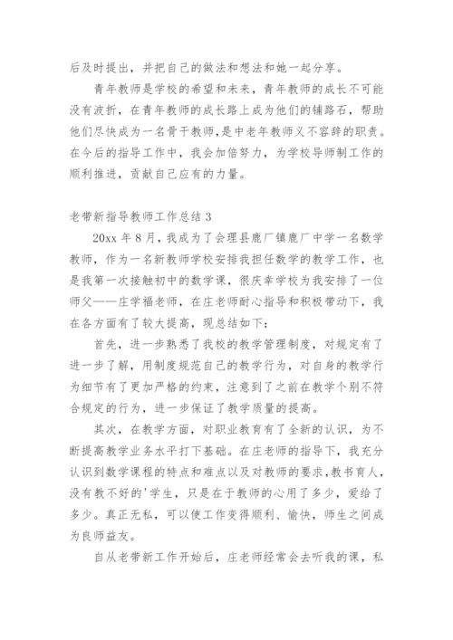 老带新指导教师工作总结.docx