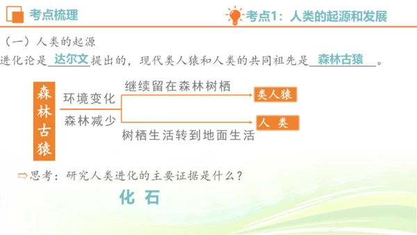 人教七下 生物圈中的人 生物期中复习考点梳理+真题体验（考点全覆盖）(共88张PPT)