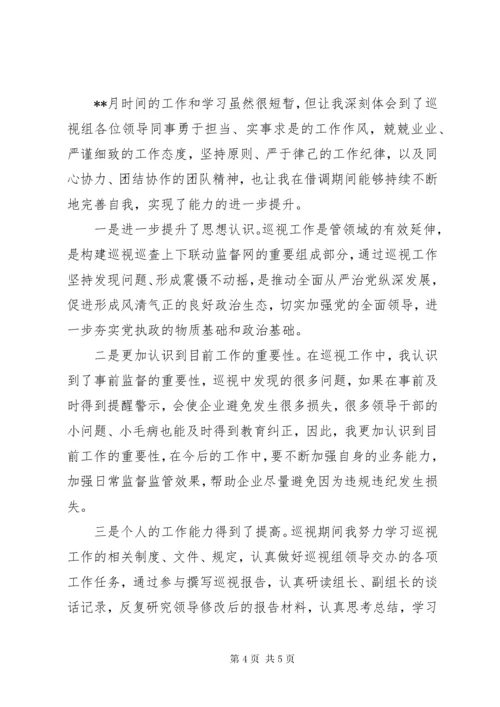 巡视巡察工作个人总结.docx