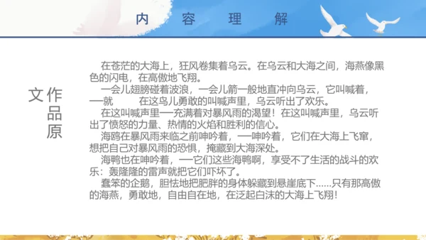 初中教师海天海燕教育教学课件PPT模板