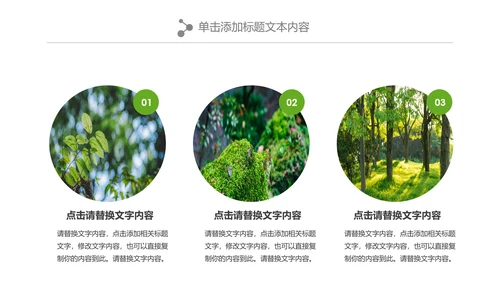 绿色森林植树造林林业木材园林绿化PPT