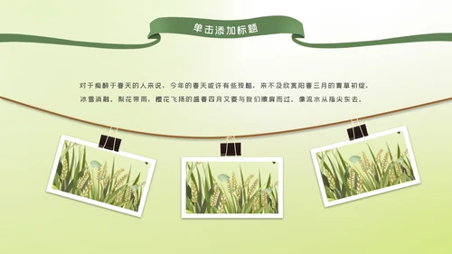 清新二十四节气芒种节气芒种PPT模板