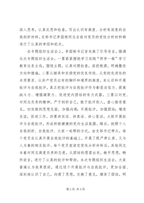 党支部专题组织生活会总结.docx