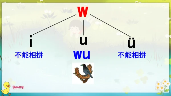 汉语拼音2  i  u  ü  y  w 课件