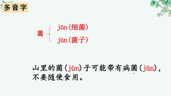 第17课《松鼠》课件