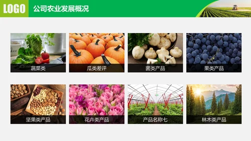 水果蔬菜农业招商农产品宣传通用PPT模板