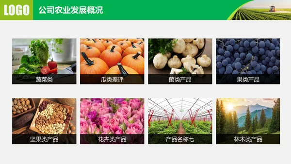 水果蔬菜农业招商农产品宣传通用PPT模板