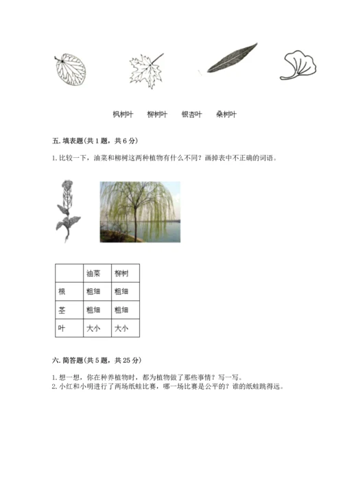 教科版科学一年级上册期末测试卷【预热题】.docx