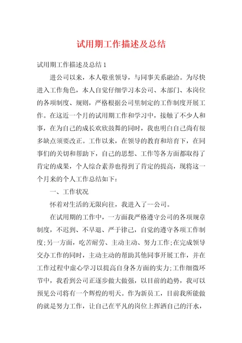 试用期工作描述及总结