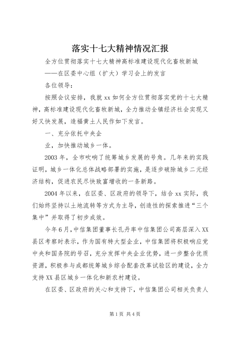 落实十七大精神情况汇报.docx