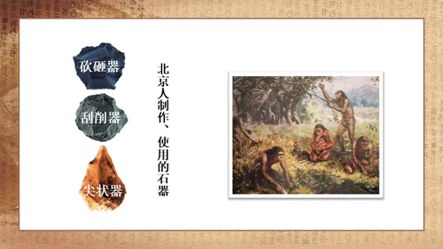 初中历史《人类起源》教学通用PPT课件