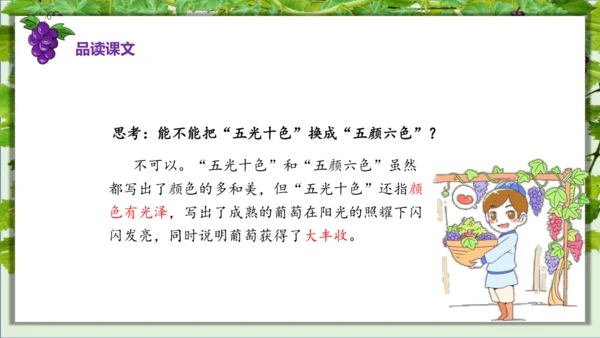 第11课《葡萄沟》课件
