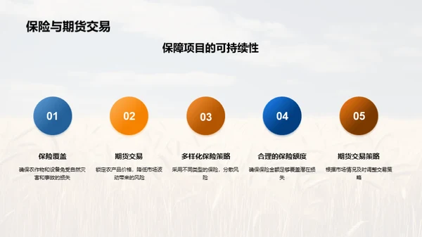 农业项目投资策略