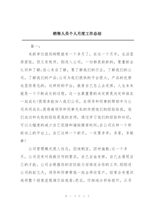 销售人员个人月度工作总结.docx