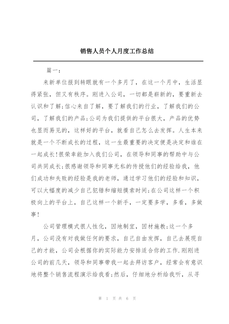 销售人员个人月度工作总结.docx