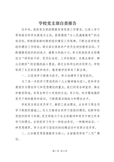 学校党支部自查报告.docx