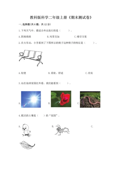 教科版科学二年级上册《期末测试卷》【考点提分】.docx