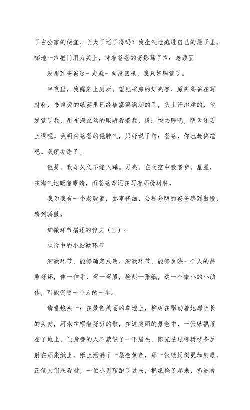 细节描写的作文