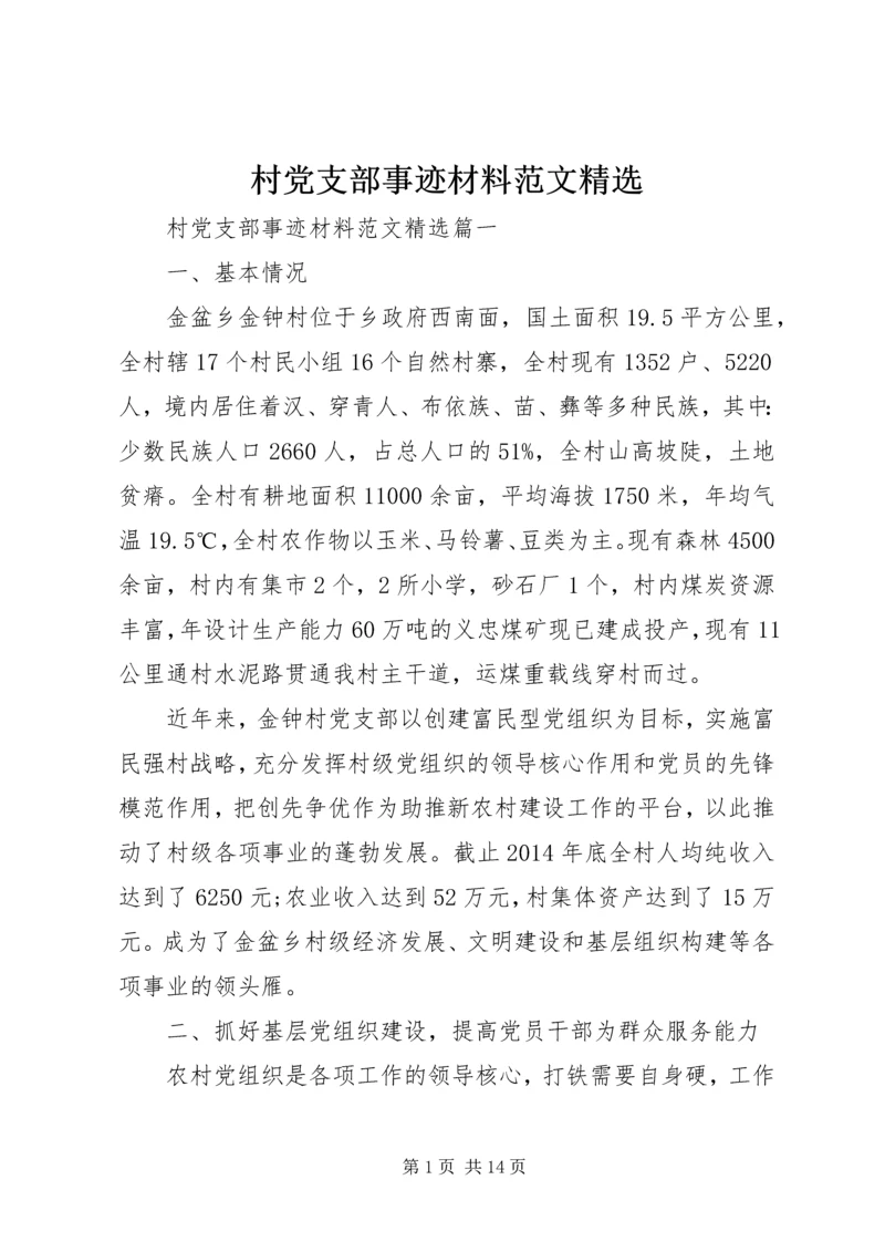 村党支部事迹材料范文精选.docx