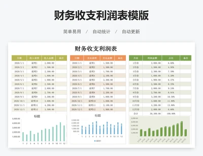财务收支利润表模版