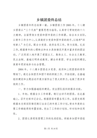 乡镇团委终总结.docx