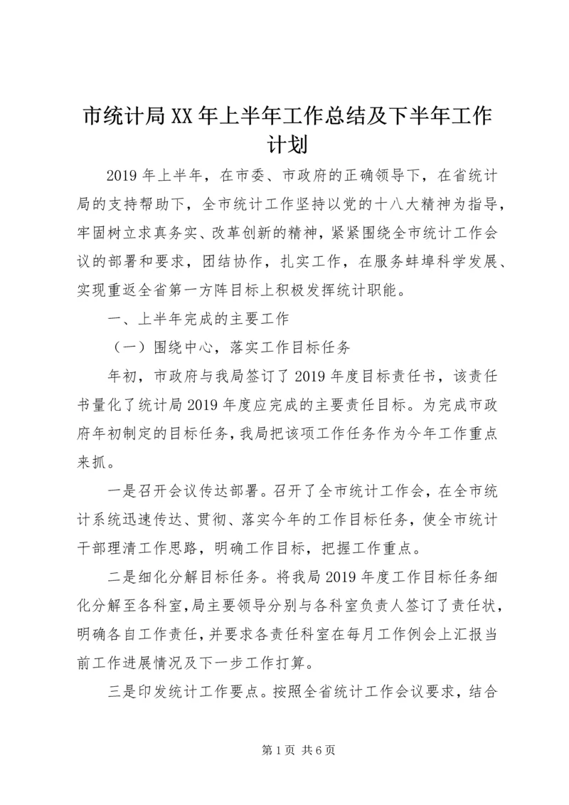 市统计局XX年上半年工作总结及下半年工作计划 (2).docx