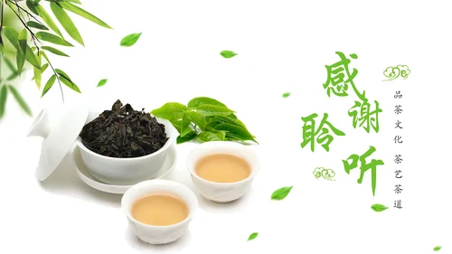 唯美小清新茶园文化茶艺茶道PPT模板