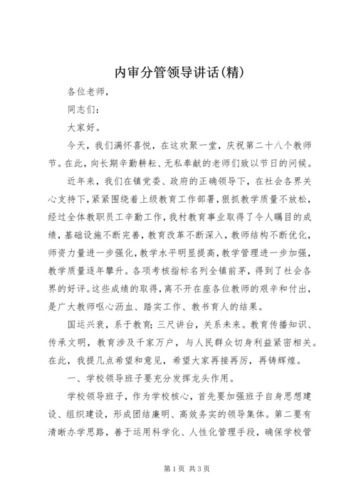 内审分管领导讲话(精) (4).docx