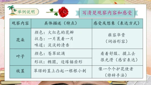 【核心素养】部编版语文三年级下册-习作-我的植物朋友（课件）