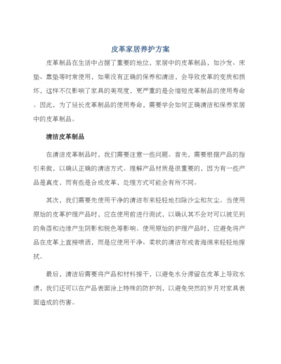 皮革家居养护方案.docx