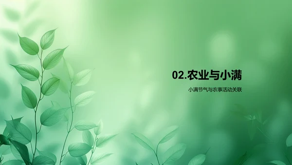 小满节气自然解读PPT模板
