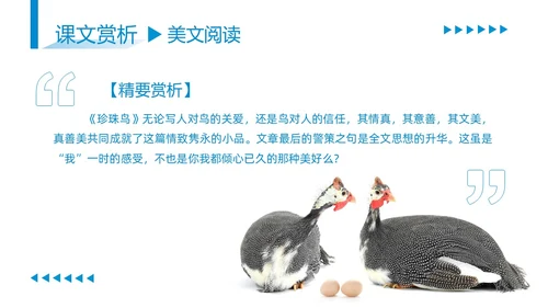 蓝色商务简约古希腊的石头高中课本PPT模板