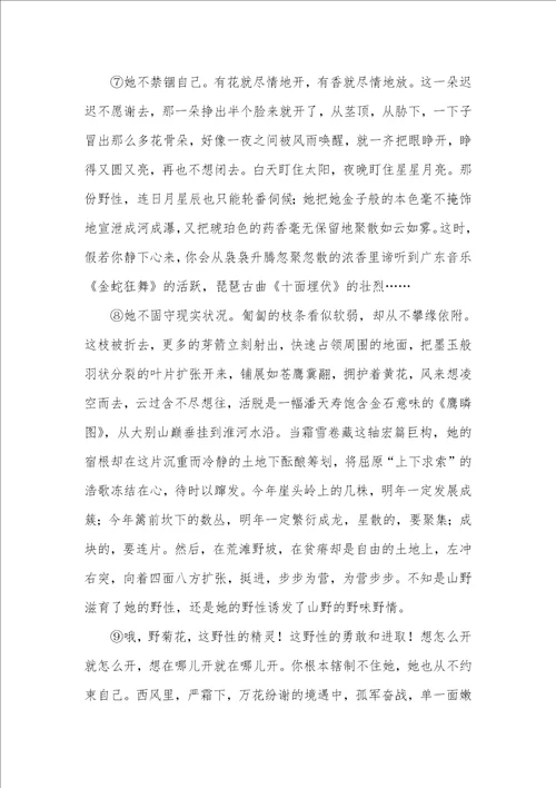 中考语文经典美文阅读及答案：野菊花