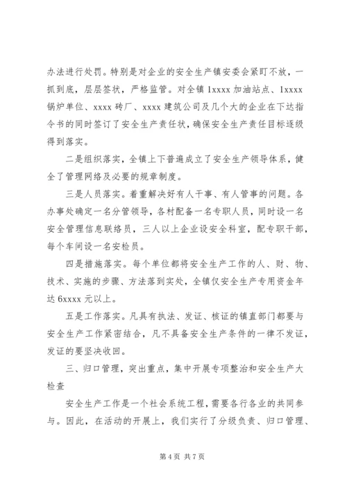 乡镇安全生产某年终工作总结.docx