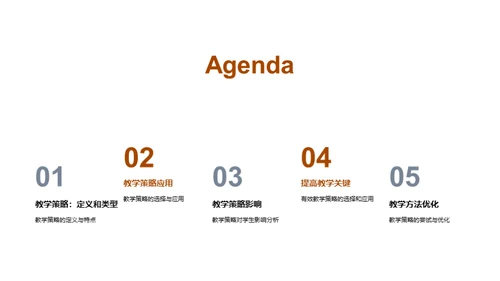 教学策略解析