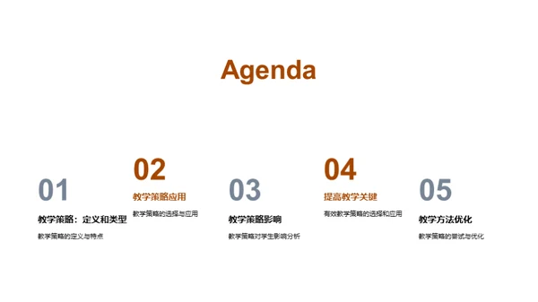 教学策略解析