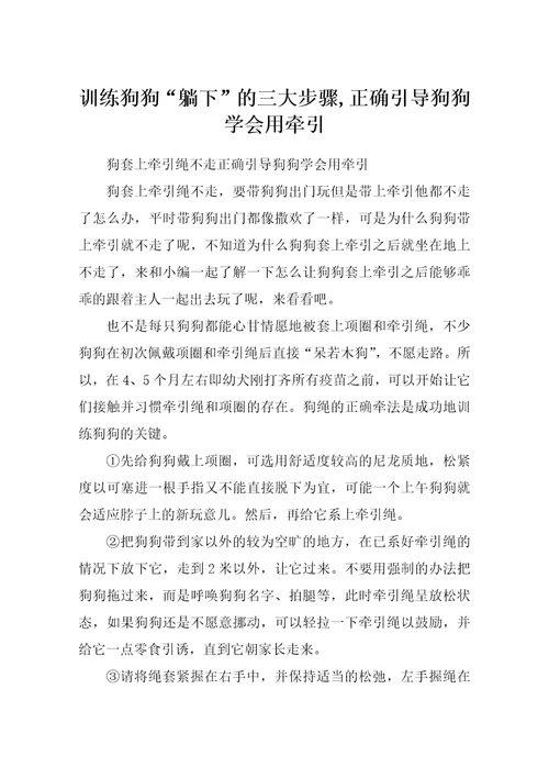 训练狗狗“躺下的三大步骤正确引导狗狗学会用牵引