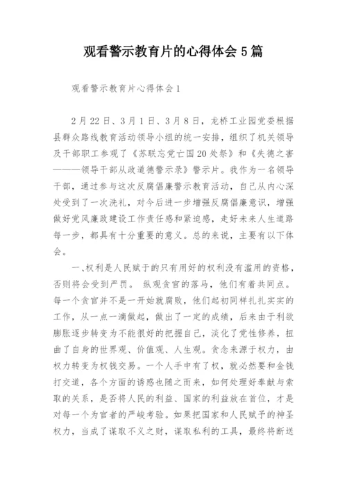 观看警示教育片的心得体会5篇.docx