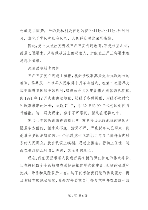 关于三严三实第三专题研讨优秀讲话稿.docx