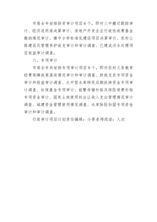 行政审计项目计划.docx