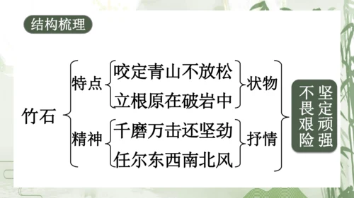 10《竹石》课件