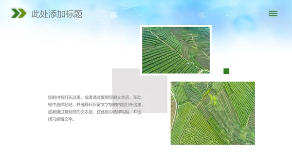 农业新农村种子春耕乡村振兴麦田发芽PPT