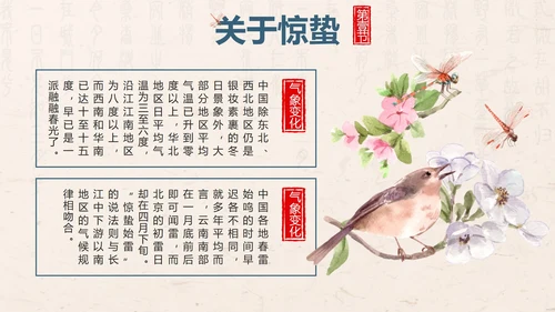黄色中国风花鸟二十四节气之惊蛰带内容PPT模板