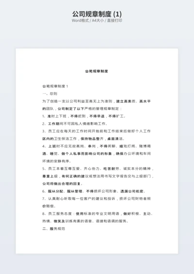 公司规章制度 (1)