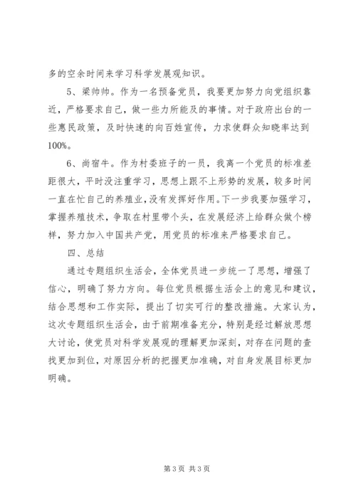 村专题组织生活会会议记录 (2).docx