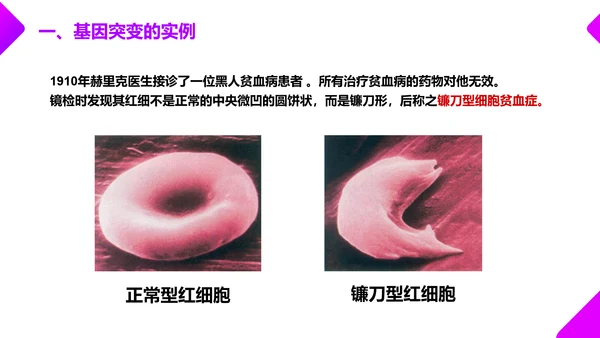 基因突变和基因重组初高中生物PPT课件