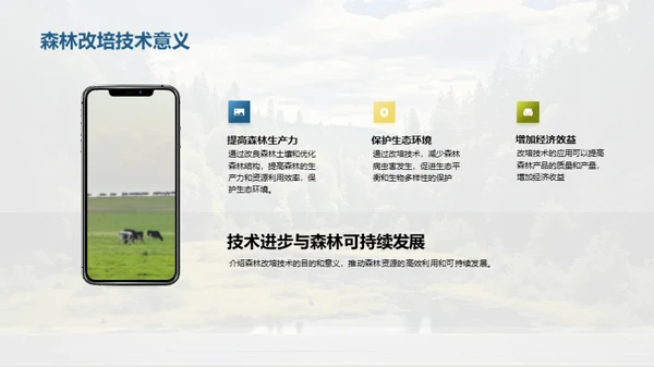 森林改培：新绿未来