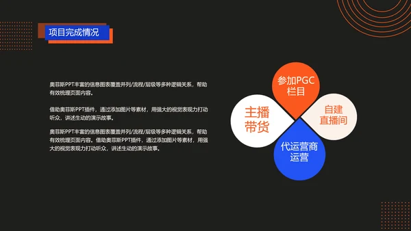 深色简约风红蓝项目汇报策划