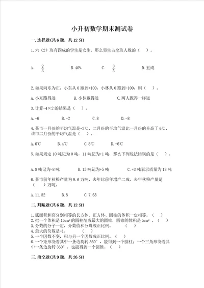 小升初数学期末测试卷精品网校专用